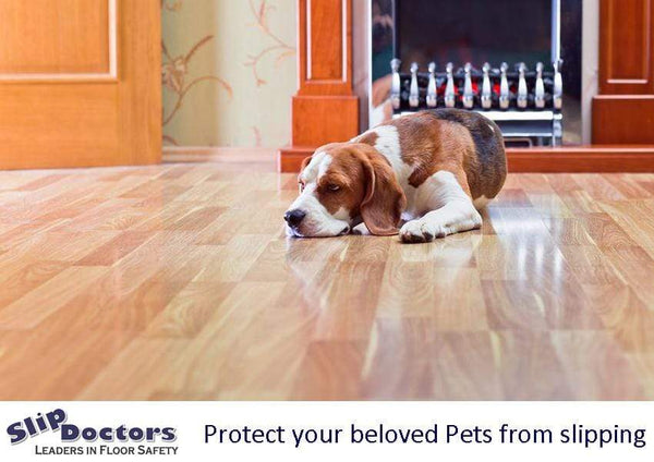 Is Your Dog Slipping on the Floors in Your Home? Find a Solution Today.